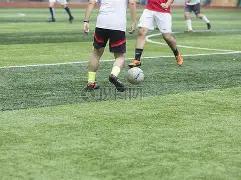 朱婷透露心,仪男友四大,条件,金宝博188bet体育官网,金宝博188bet体育直播,体育赛事直播,足球直播