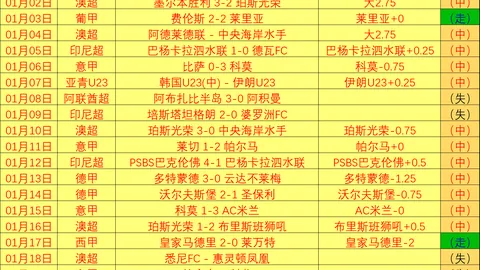 2025稳就业增收入策略揭秘：权威部门深度剖析