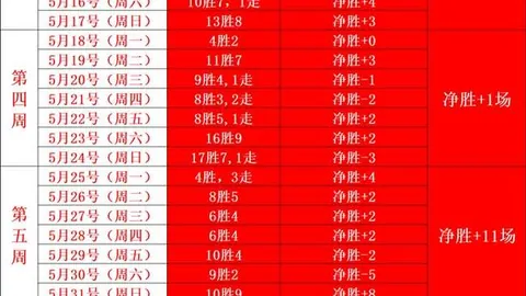 新西兰9中7佳绩，喷射机对决泰之鹰：对决焦点